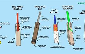 Image result for Cricket Bat Evolution