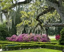 Image result for Baton Rouge, LA parks and recreation