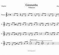 Image result for gatatumba