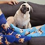 Image result for Silly Socks