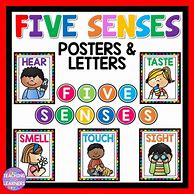 Image result for 5 Senses Science Preschool