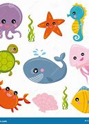Image result for Southern Ocean Sea Life Clip Art