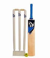 Image result for Cricket Items Image Square Type