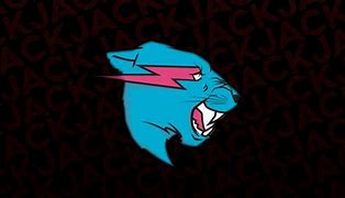 Image result for Mr. Beast Pink