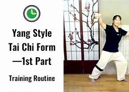 Image result for 13 Postures Tai Chi Yang Style