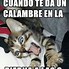 Image result for Gato Meme Espanol