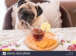 Image result for Afternoon Tea Funny