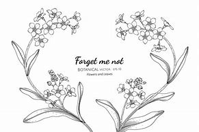 Image result for Forget Me Not Flowers Clip Art