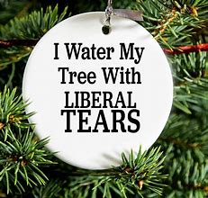 Image result for Liberal Christmas Meme