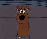 Image result for Scooby Doo Confused