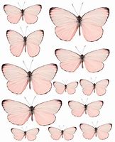 Image result for Pastel Pink Butterflies