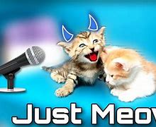 Image result for Kittens Meowing