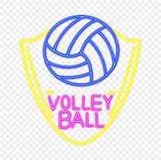 Image result for Blue Volleyball Logo
