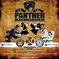 Image result for Panther Martial Arts
