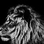 Image result for Lion Head Photography Black and White