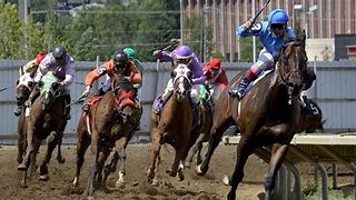 Image result for American Horse Racing