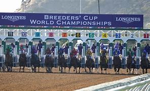 Image result for Just FYI Breeders' Cup