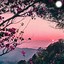 Image result for Aesthetic Outside Background
