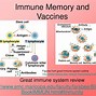 Image result for Memory Cell Immune System