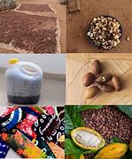 Image result for African Products for Shopify Store