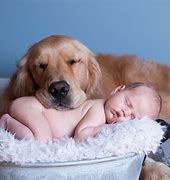 Image result for Babies Dogs Just Chillin