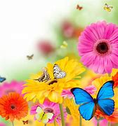 Image result for iPad Wallpaper Nature Spring