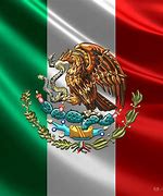 Image result for Mexico Flag Theme