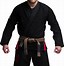 Image result for Jiu Jitsu GI