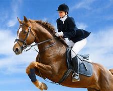 Image result for Jocky Riding/Horse