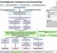 Image result for Molluscum Contagiosum Stages of Infection