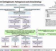 Image result for Pathogenesis of Molluscum Contagiosum