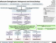 Image result for Stages of Molluscum