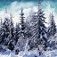 Image result for Winter Forest Phone Wallpaper