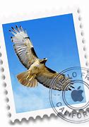 Image result for Apple Mail App Icon iOS