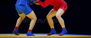 Image result for Sambo Wrestling