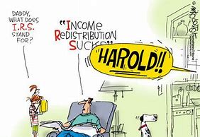 Image result for Tax Cartoons
