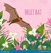 Image result for A Picture of a Cute Cartoon Fruit Bat