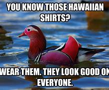 Image result for Hawaiian Shirt Work-Appropriate Meme