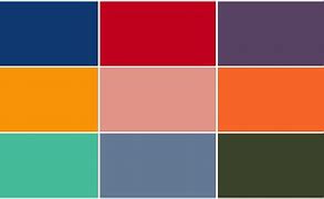Image result for SE 2020 Colors
