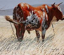 Image result for Kenyan Cow Painting