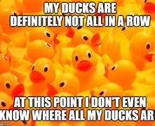 Image result for Rubber Ducky Meme