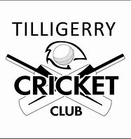 Image result for Cricket Stuff