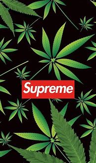 Image result for Cool Supreme Weed