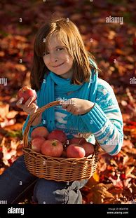 Image result for Apple Basket