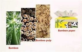 Image result for Paper Made From Bamboo