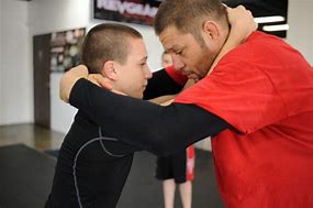 Image result for Brazilian Jiu Jitsu Pose