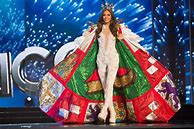 Image result for Puerto Rico National Costume