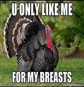Image result for Sad Turkey Meme