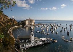 Image result for 2019 Avalon Catalina