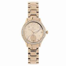 Image result for Titan Rose Gold Watch